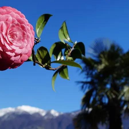 Casa Eva Ronco sopra Ascona