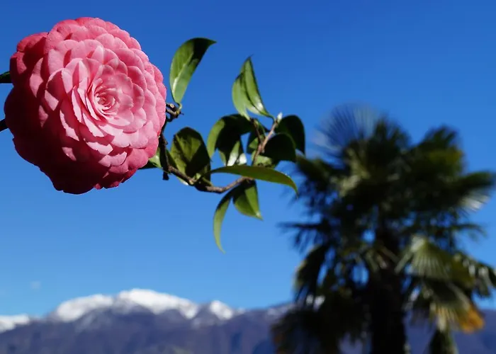 Casa Eva Ronco sopra Ascona